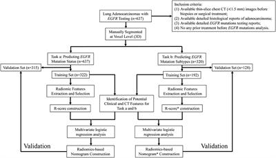 The Potential of Radiomics Nomogram in Non-invasively Prediction of Epidermal Growth Factor Receptor Mutation Status and Subtypes in Lung Adenocarcinoma